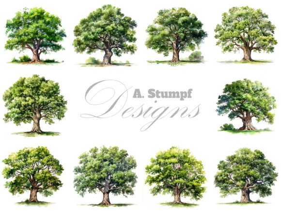 Download Oak Tree Watercolor Clipart Set - Oak Collection